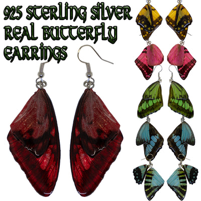 Collection of real butterfly wings encased in resin & attached to 925 sterling silver wires