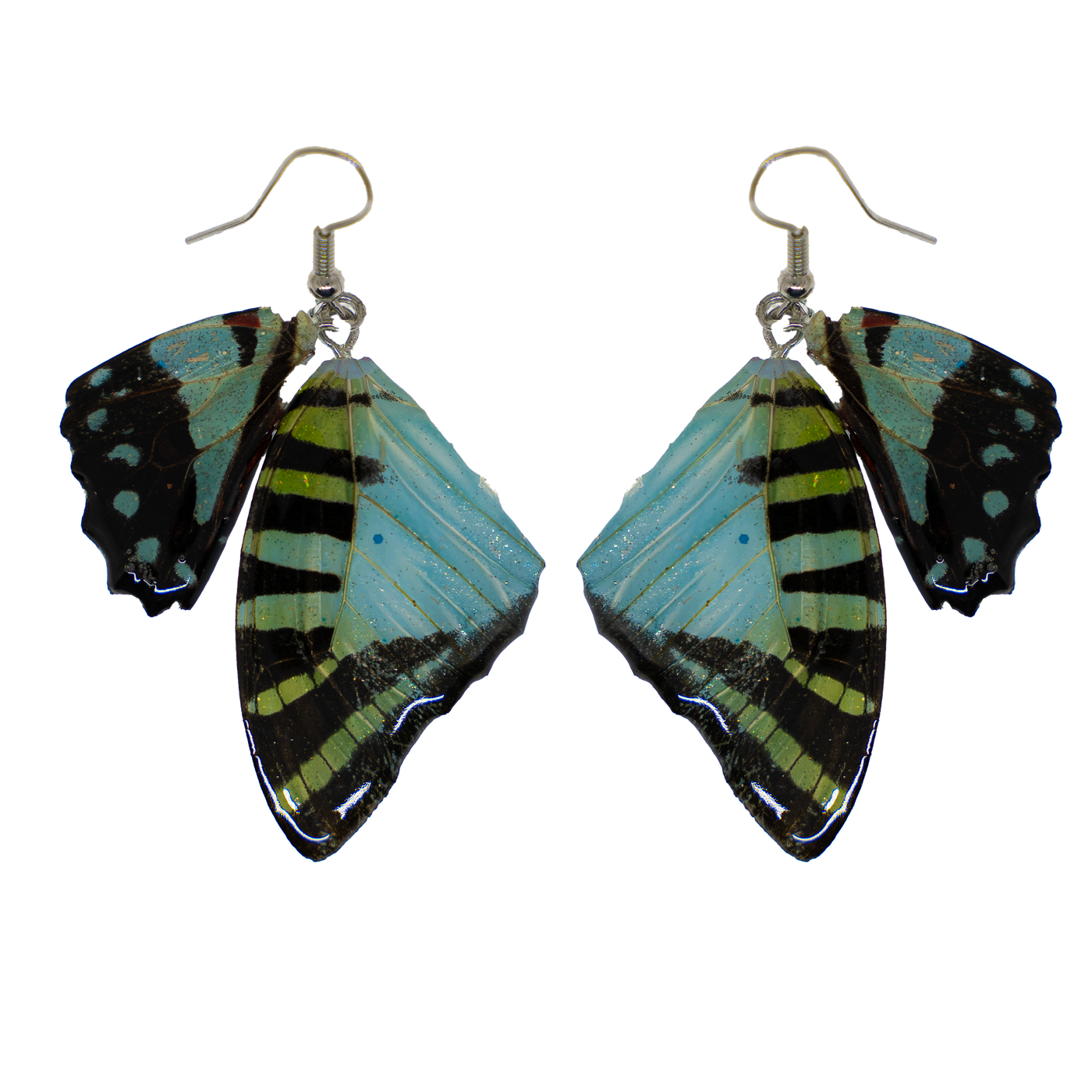 Light Blue real butterfly wings encased in resin & attached to 925 sterling silver wires