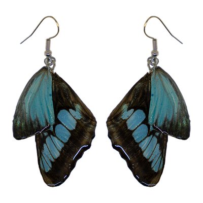 Blue real butterfly wings encased in resin & attached to 925 sterling silver wires