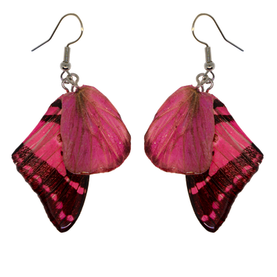 Pink real butterfly wings encased in resin & attached to 925 sterling silver wires