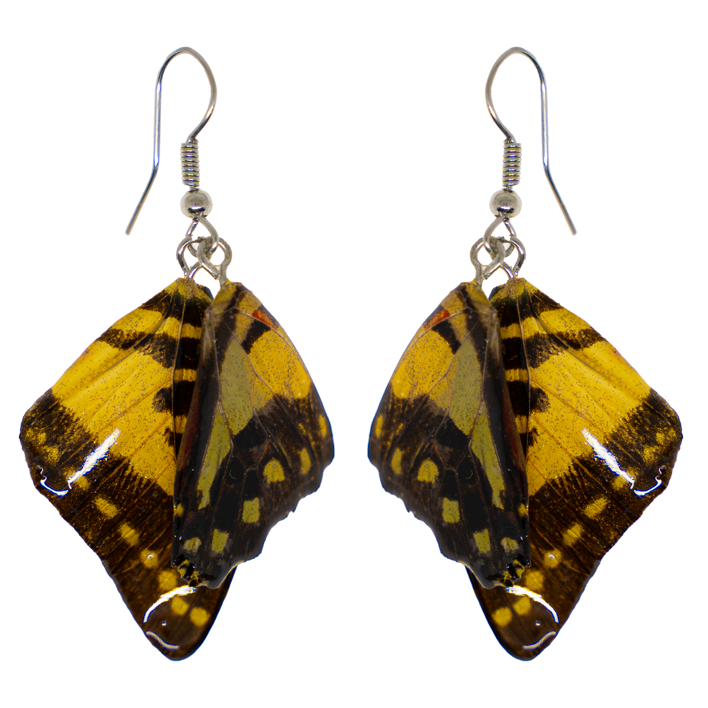 Yellow real butterfly wings encased in resin & attached to 925 sterling silver wires