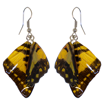 Yellow real butterfly wings encased in resin & attached to 925 sterling silver wires