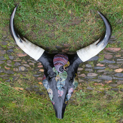 Hand Painted Buffalo Skull Horns Original Unique Bone Tribal Art feeanddave
