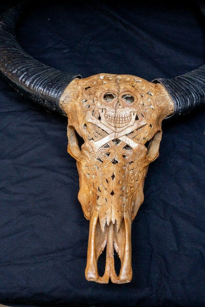 Carved Buffalo Skull Wall Hanging