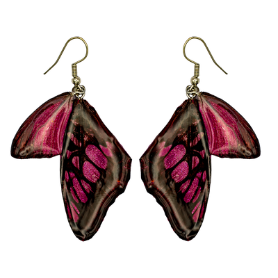 Purple real butterfly wings encased in resin & attached to 925 sterling silver wires
