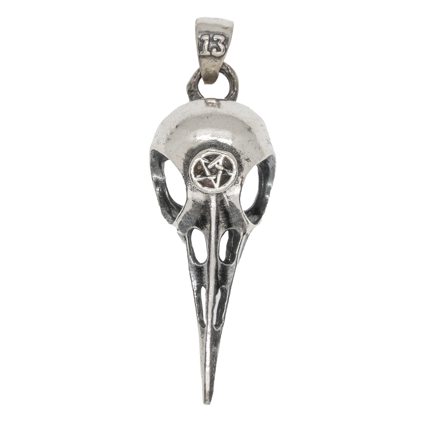 Raven Skull Pentagram Pendant