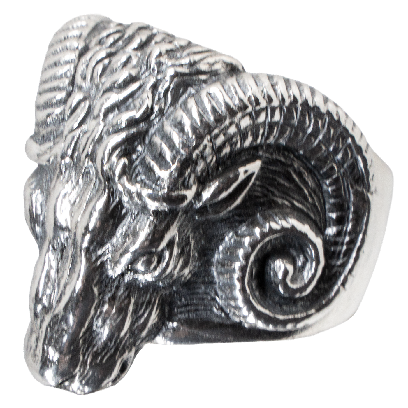 Ram Head Skull Ring .925 sterling silver