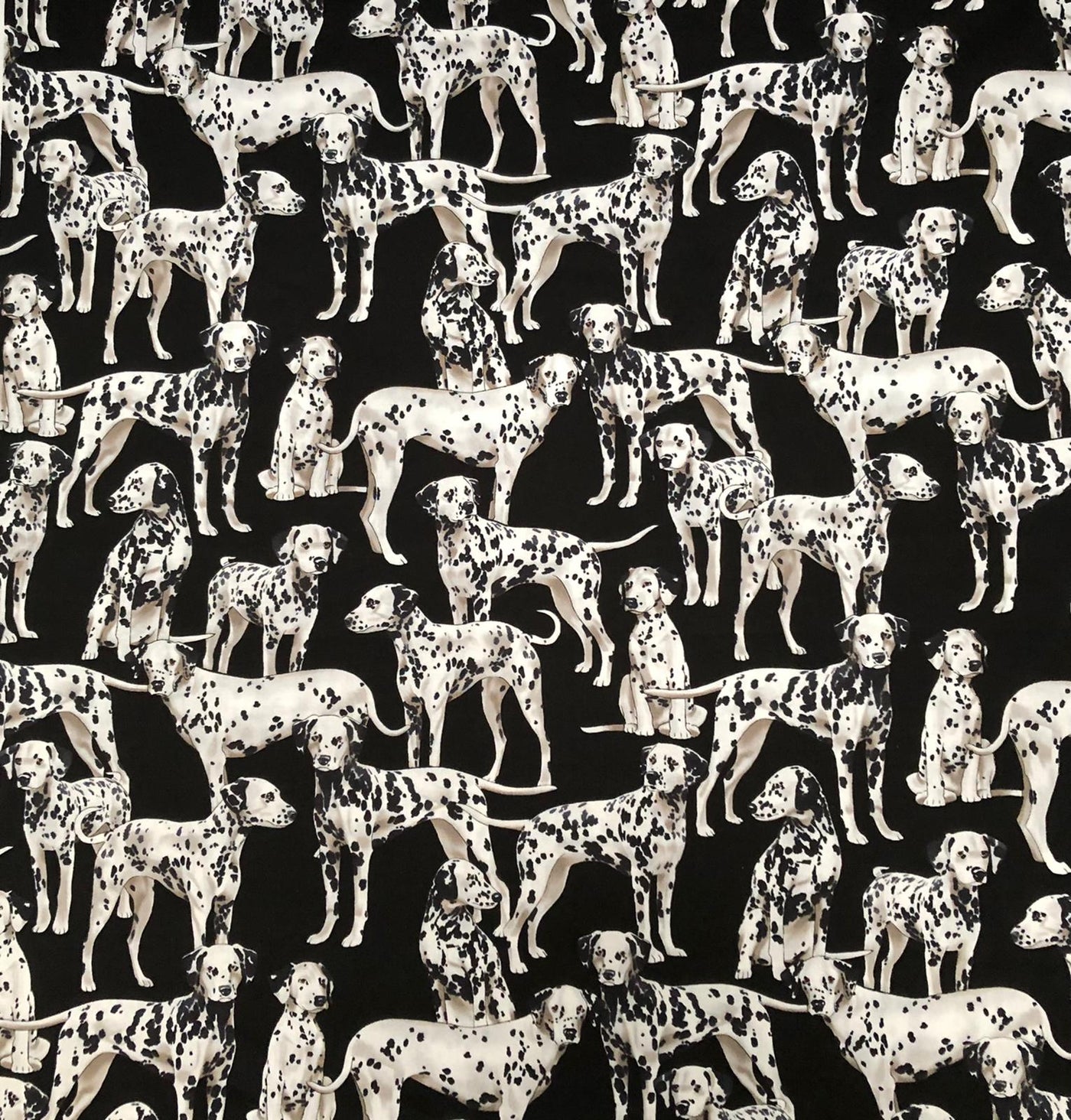 Dalmatian Dog - Timeless Treasures - 100% Cotton Fabric