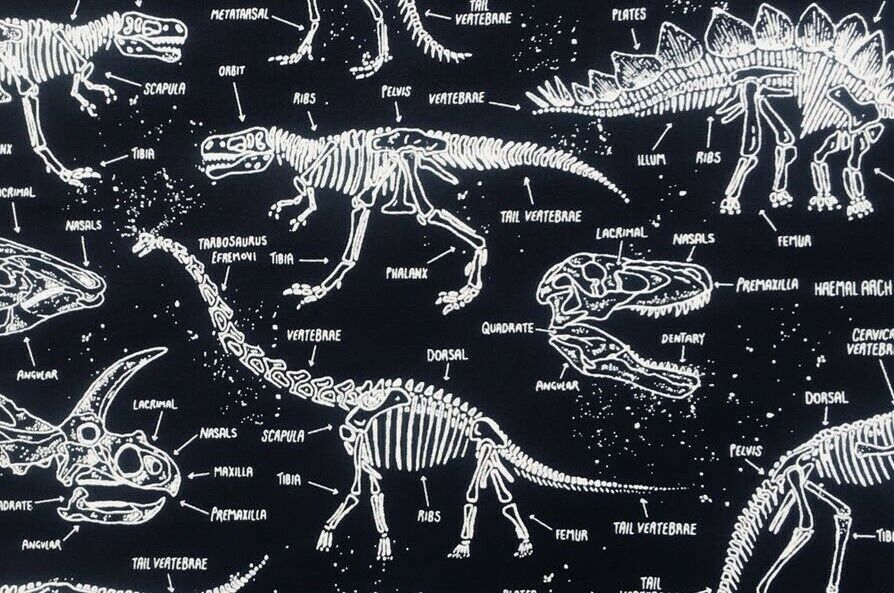 Glow in the Dark Dinosaur - Timeless Treasures - 100% Cotton Fabric