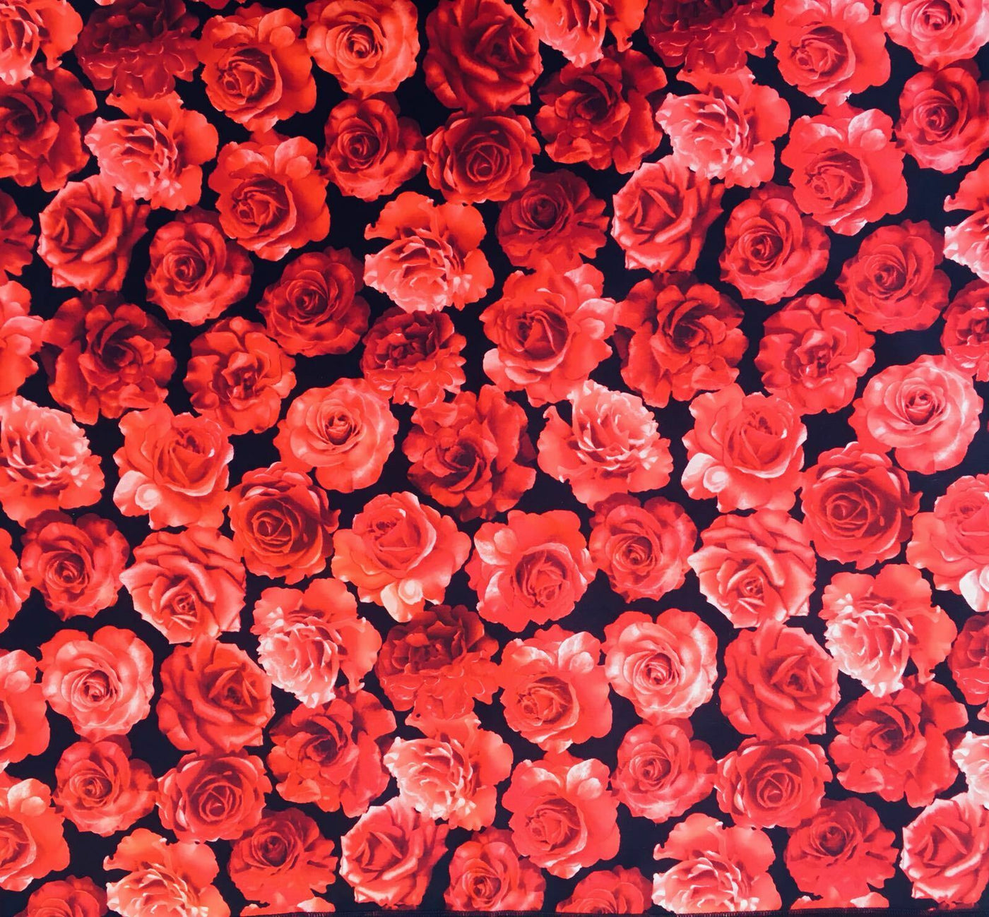 Red Rose - Timeless Treasures - 100% Cotton Fabric