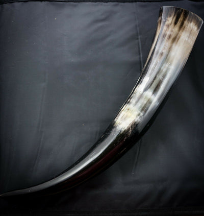 Viking Buffalo Drinking Horn Pagan Medieval Game of Thrones Feeanddave
