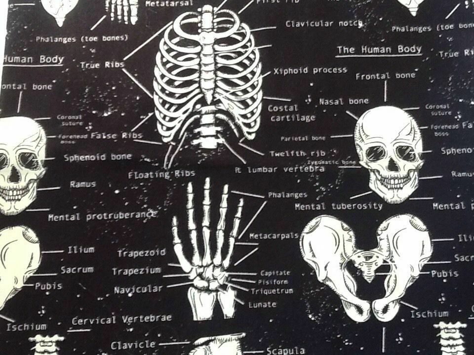 Glow in the Dark Skeleton Anatomy 100% Cotton Fabric Material Ideal For masks