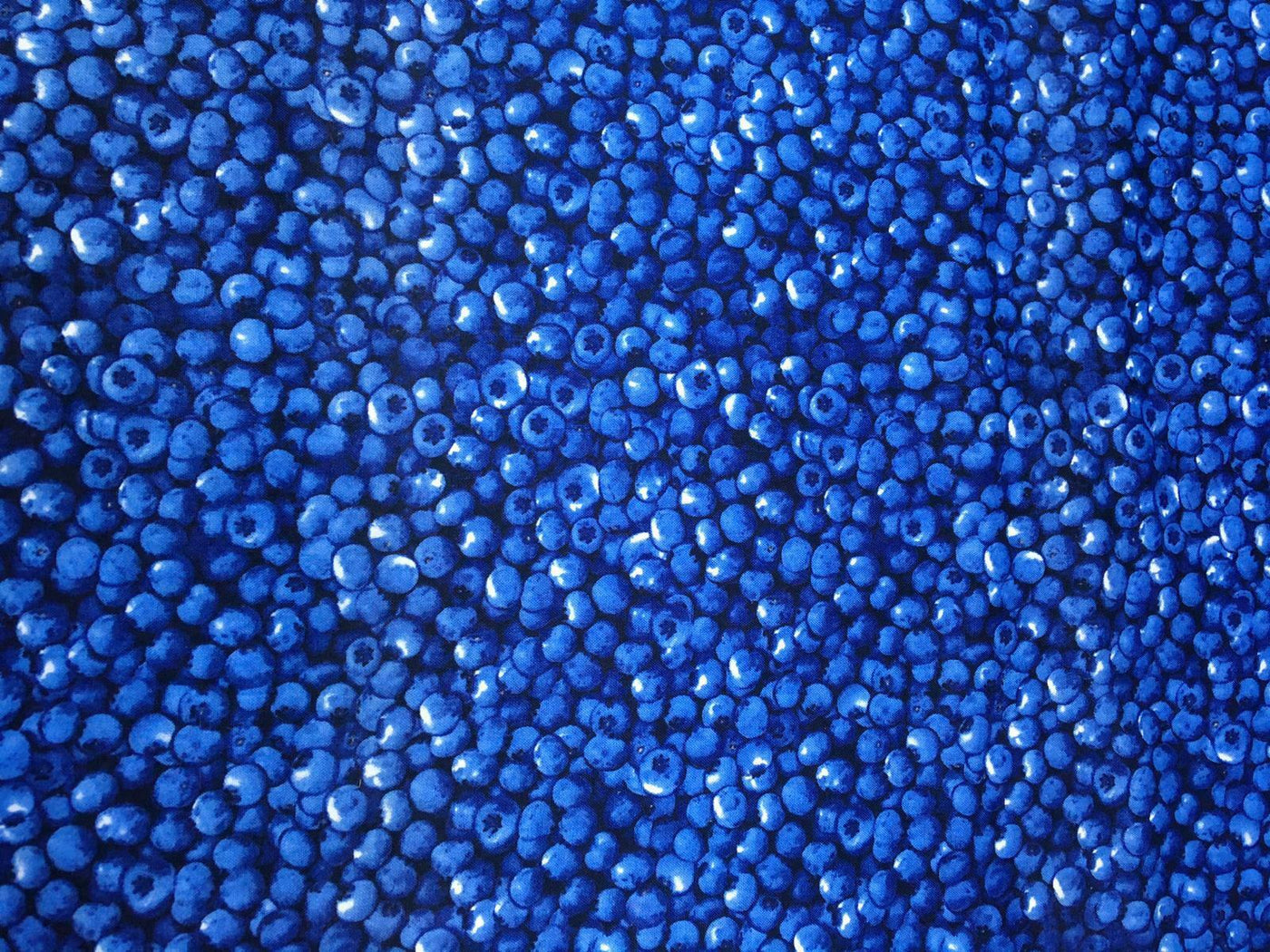 Blueberry Fruit - Timeless Treasures - 100% Cotton Fabric