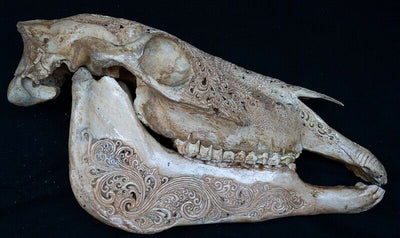 Horse Skull Celtic Dragon Carving Tribal Biker Viking Gothic Equine