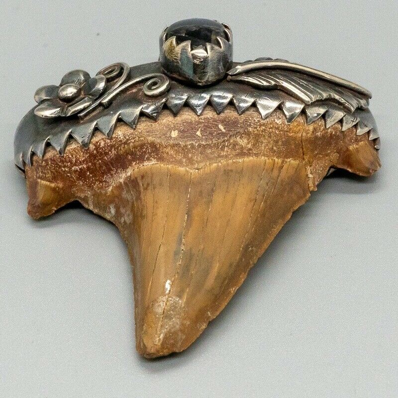 Fossil Sharks Tooth & Lapis Lazuli Pendant 925 sterling silver Bone Biker Pagan