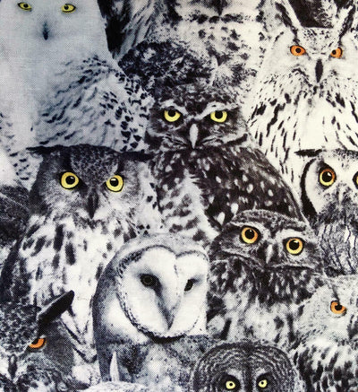 Owl Bandana Headband Chemo Scarf Timeless Cotton Snowy Barn Tawny Hedwig