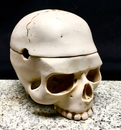 Human Skull Resin Ashtray Stash Pot Hidden Treasures Home Decor skeleton