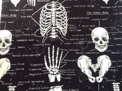 Skeleton glow in the dark anatomy Bandana Biker Gothic Chemo Head Band scarf