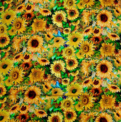 Sunflowers - David Textiles - 100% Cotton Fabric