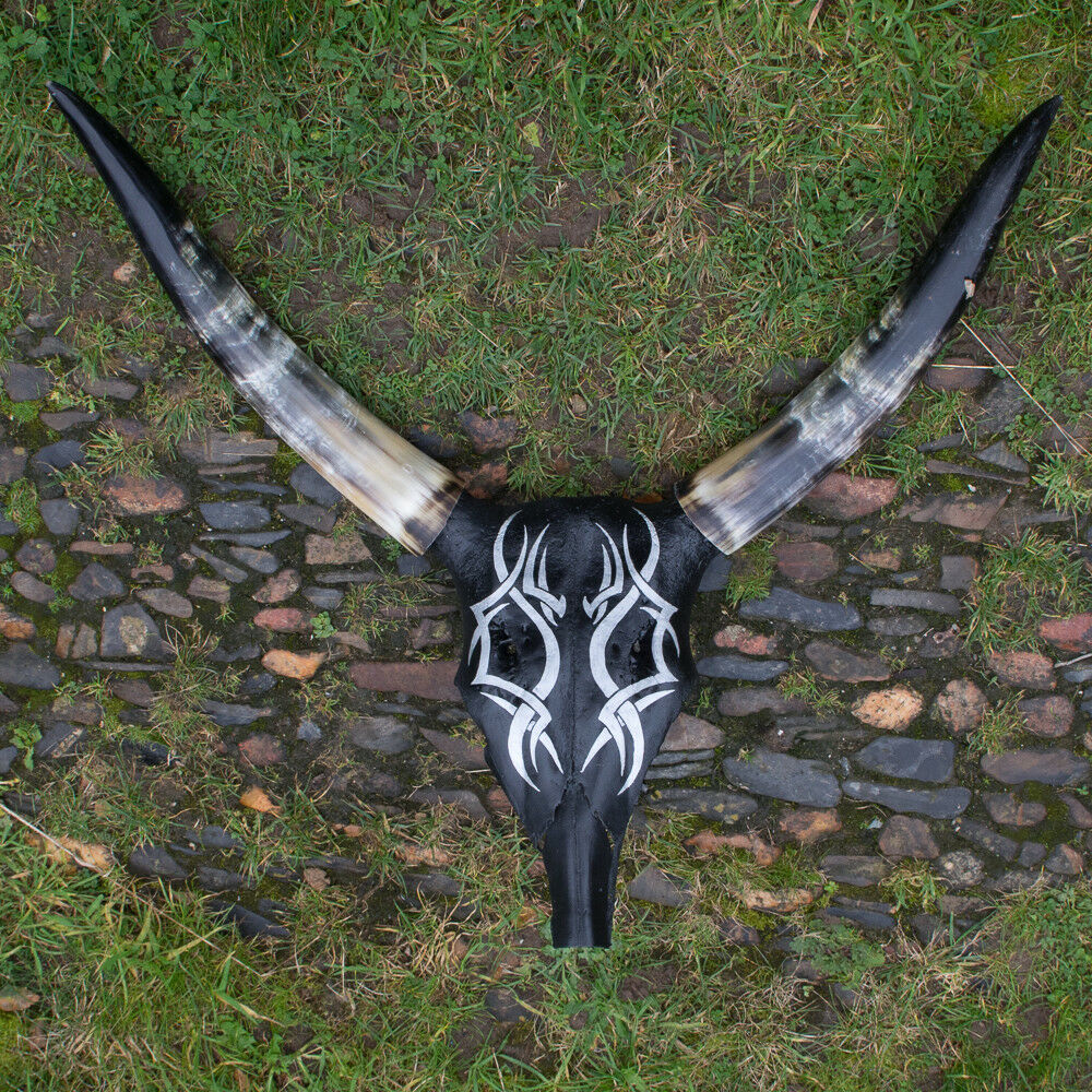 Hand Painted Buffalo Skull Horns Bone Original Tribal Celtic Art feeanddave