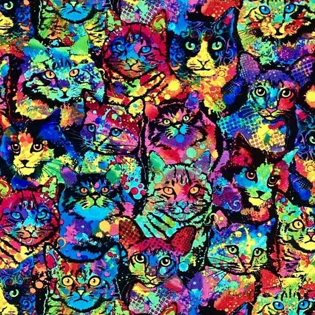 Crazy Psycho Cat - Timeless Treasures - 100% Cotton Fabric