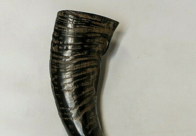 Viking Buffalo Drinking Horn Pagan Medieval Game of Thrones Beer feeanddave