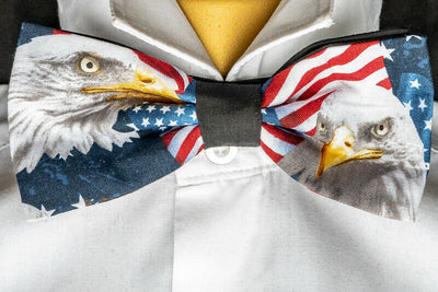 American Bald Eagle and Flag Bow Tie - Timeless Treasures - 100% cottton