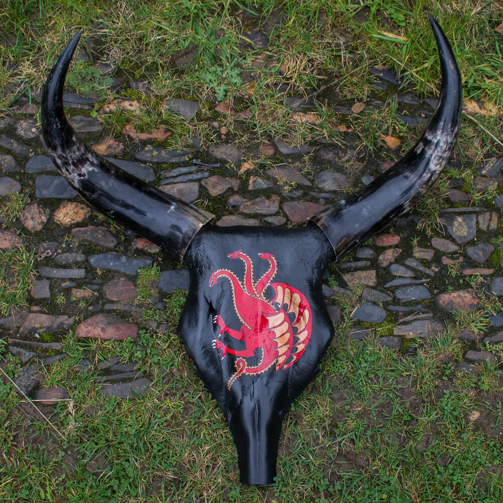Hand Painted Buffalo Skull Horns Dragon Bone Tribal Celtic Art feeanddave