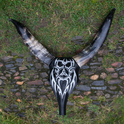 Hand Painted Buffalo Skull Horns Bone Triskele Original Celtic Art feeanddave