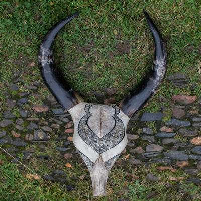 Hand Painted Buffalo Skull -Horns Mandala Bone Tribal Celtic Art feeandddave