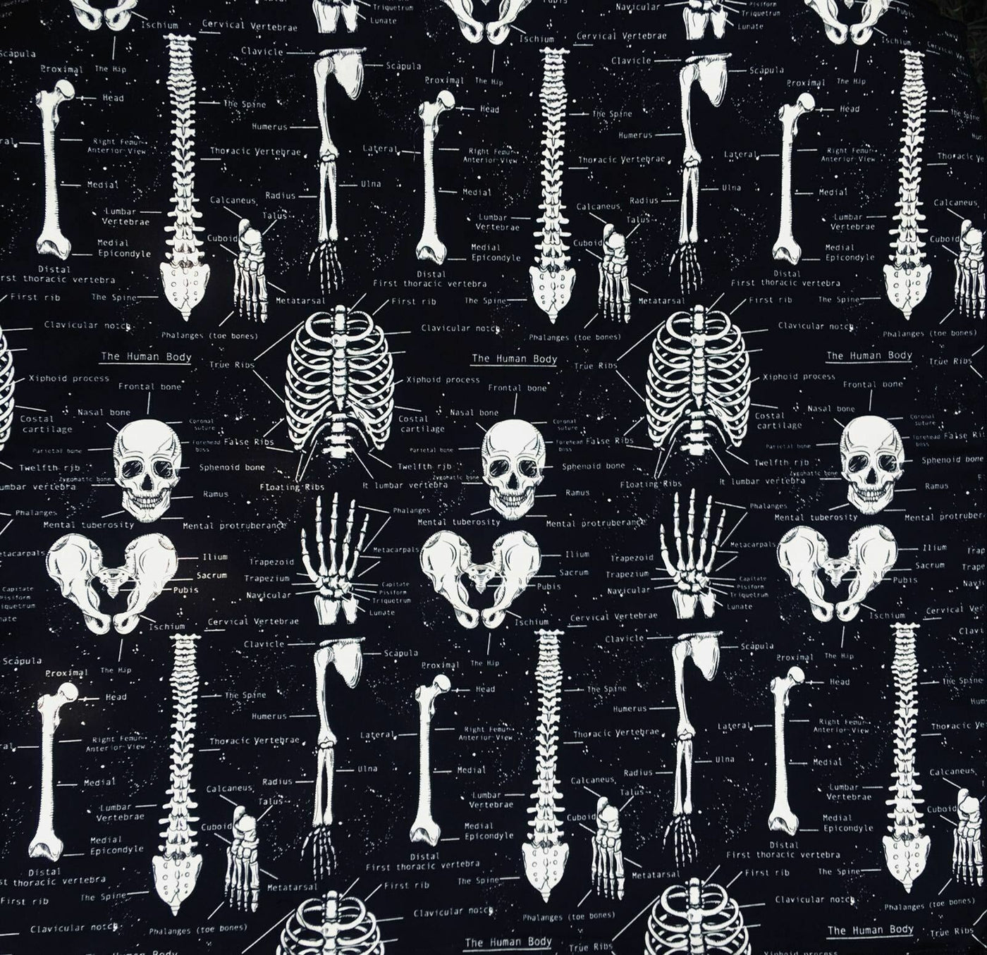 Fat Quarter Glow in the Dark Skeleton Anatomy 100% Cotton Fabric for face masks