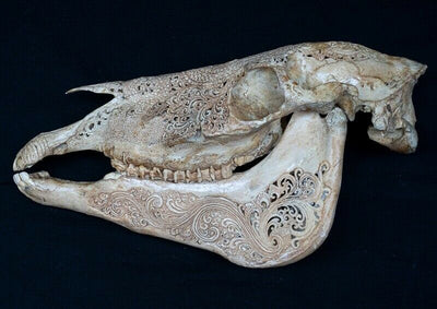 Horse Skull Celtic Dragon Carving Tribal Biker Viking Gothic Equine