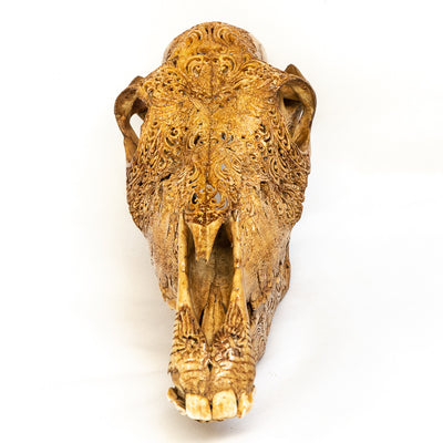 Hand Carved Animal Skulls - Buffalo, Ram, Wild Boar & Replica Human Skulls