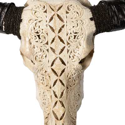 Hand Carved Animal Skulls - Buffalo, Ram, Wild Boar & Replica Human Skulls