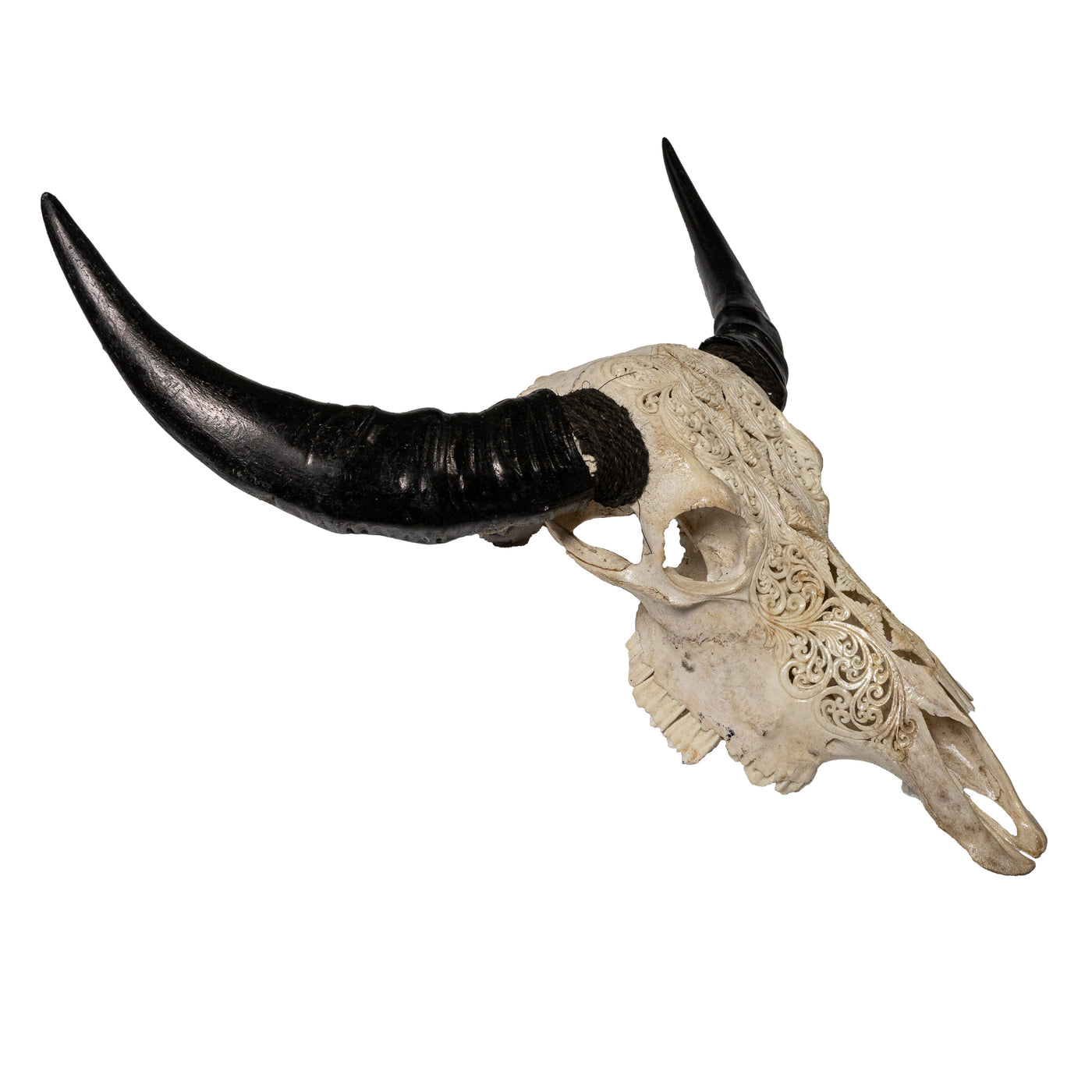 Hand Carved Animal Skulls - Buffalo, Ram, Wild Boar & Replica Human Skulls