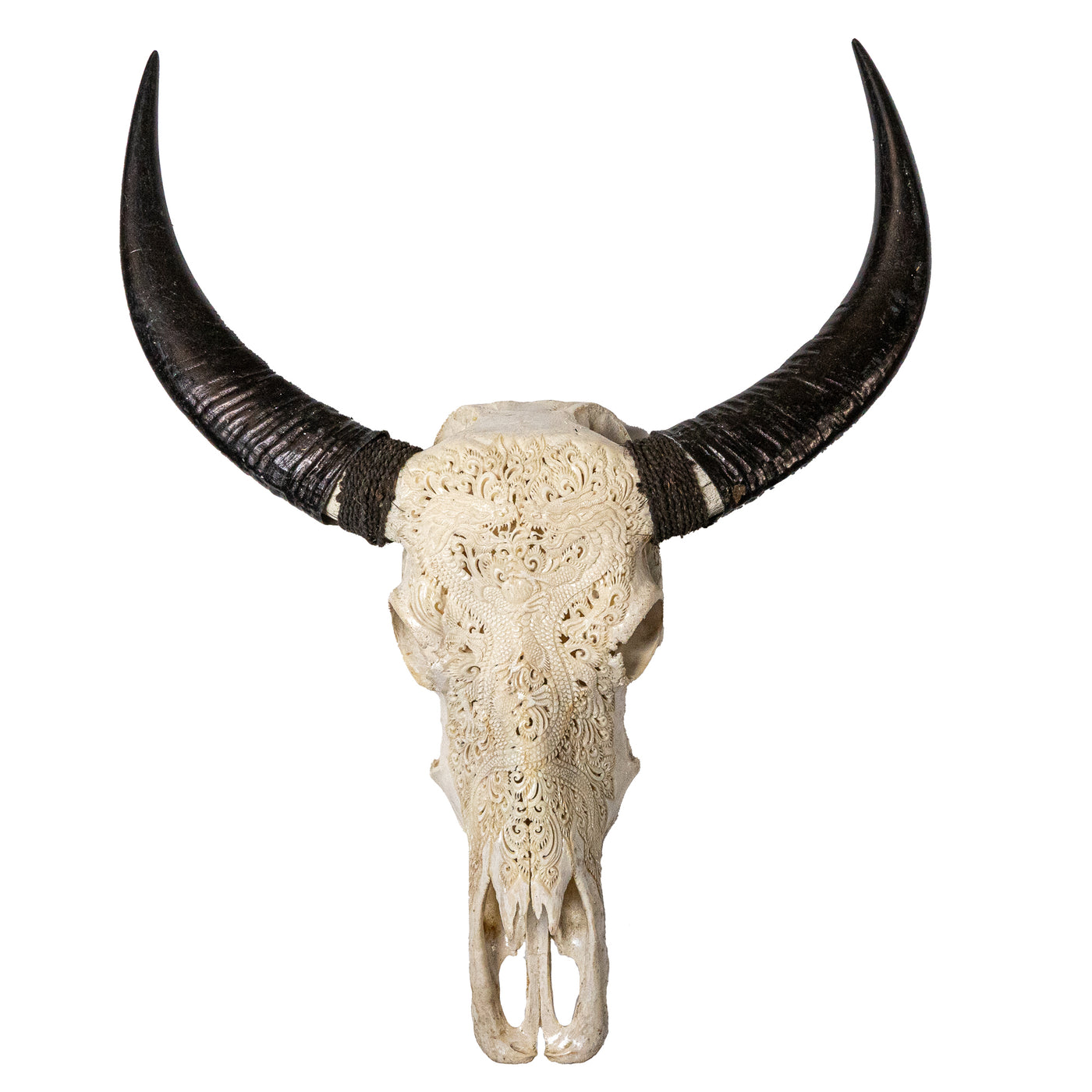 Hand Carved Animal Skulls - Buffalo, Ram, Wild Boar & Replica Human Skulls