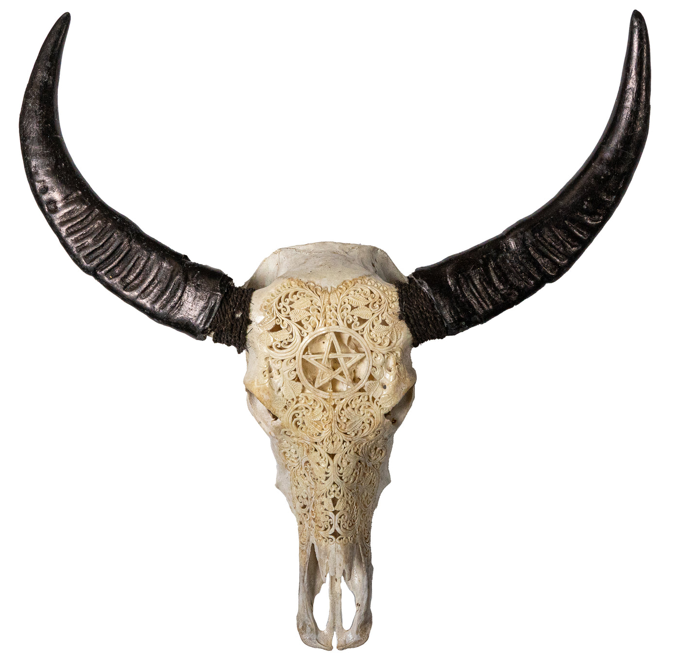 Hand Carved Animal Skulls - Buffalo, Ram, Wild Boar & Replica Human Skulls