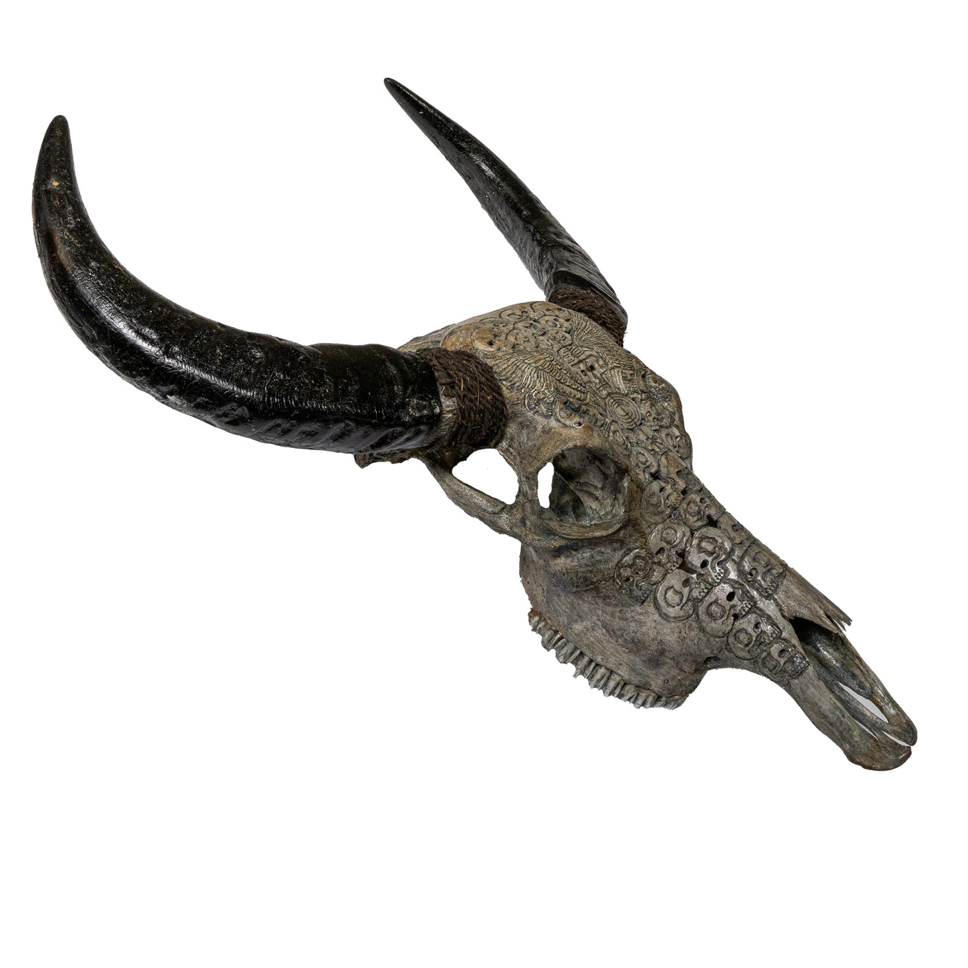 Hand Carved Animal Skulls - Buffalo, Ram, Wild Boar & Replica Human Skulls