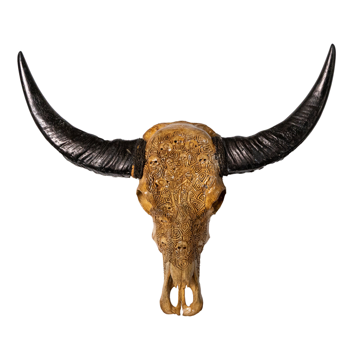 Hand Carved Animal Skulls - Buffalo, Ram, Wild Boar & Replica Human Skulls