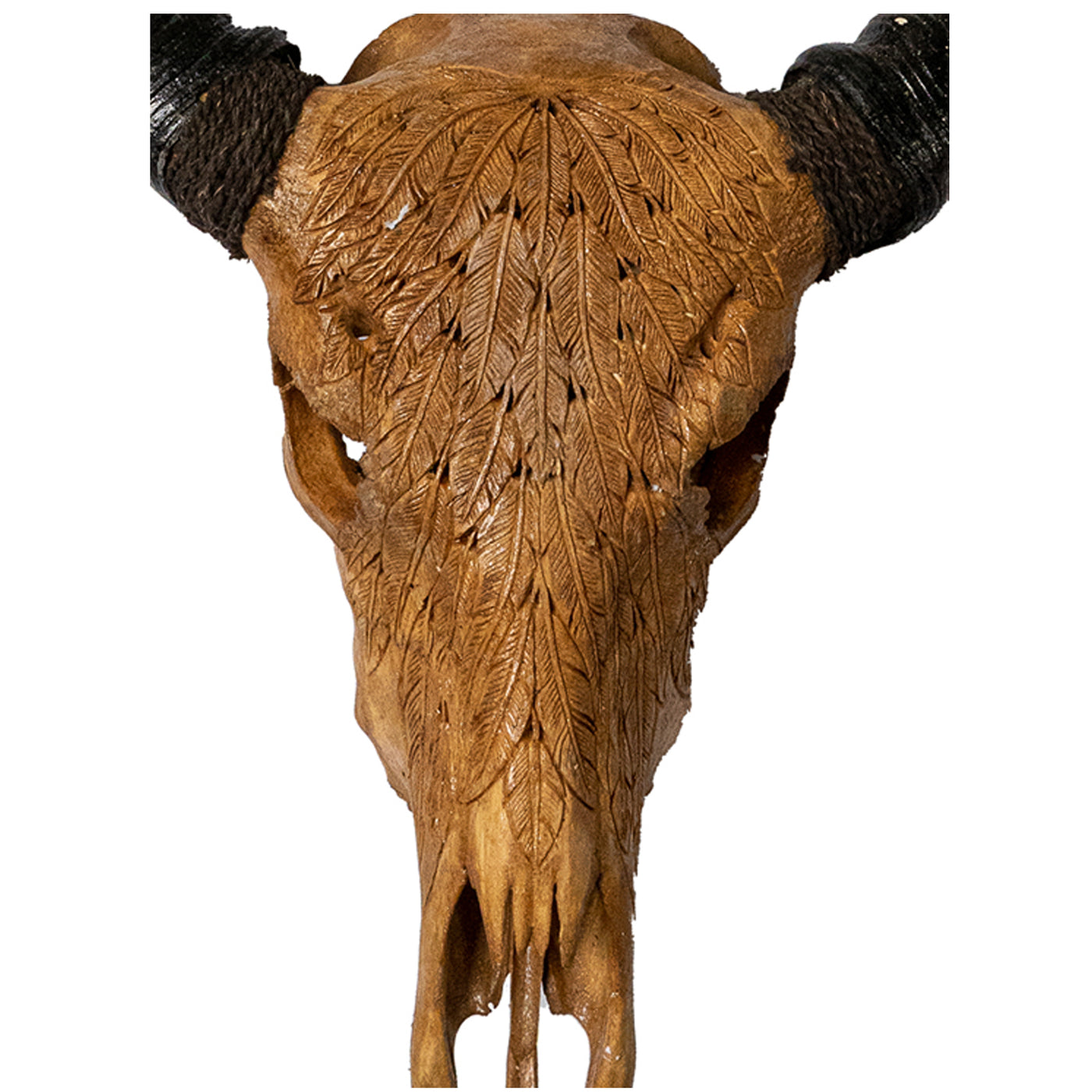 Hand Carved Animal Skulls - Buffalo, Ram, Wild Boar & Replica Human Skulls