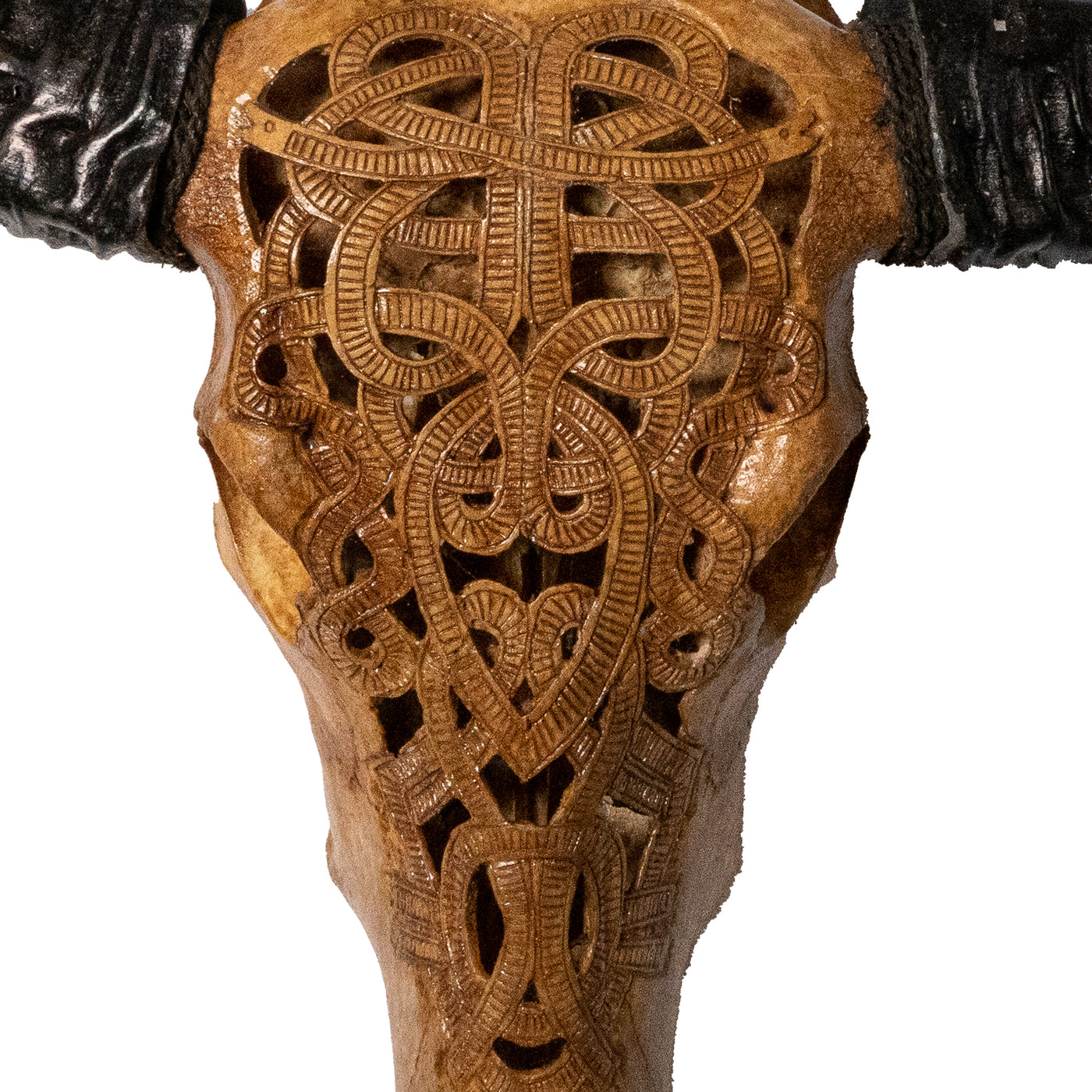 Hand Carved Animal Skulls - Buffalo, Ram, Wild Boar & Replica Human Skulls